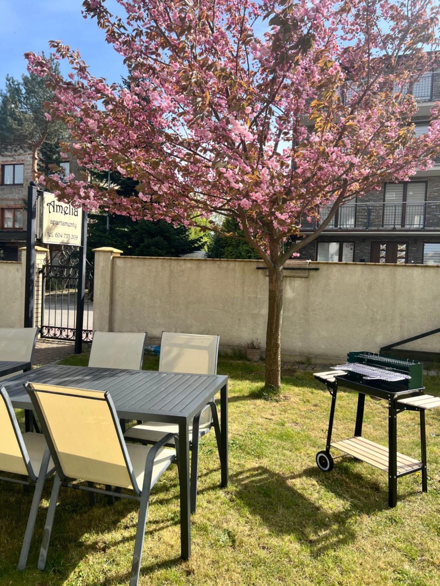 Amelia Apartamenty - Sala Zabaw, 2 Sypialnie, Garaz Podziemny Władysławowo Buitenkant foto