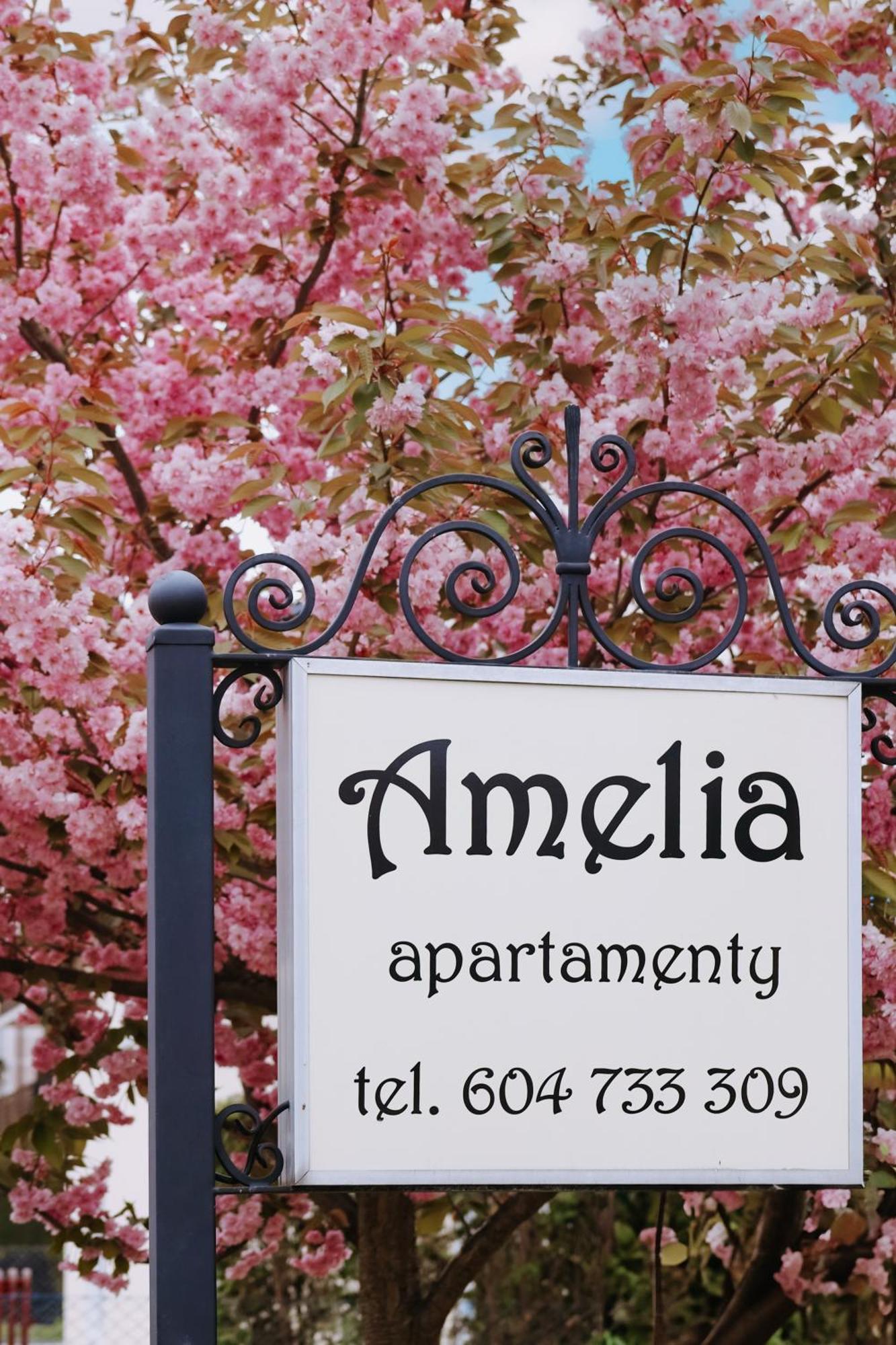 Amelia Apartamenty - Sala Zabaw, 2 Sypialnie, Garaz Podziemny Władysławowo Buitenkant foto